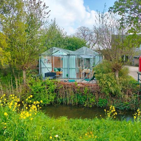 Vrijstaande Accommodatie Glamping De Kas Inn Hank Esterno foto