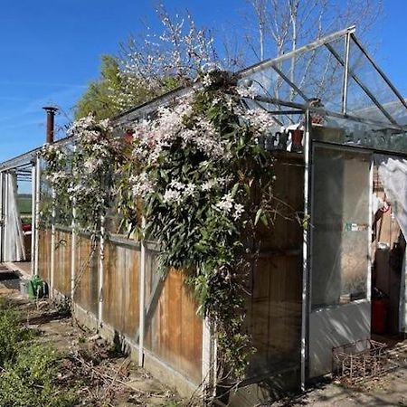 Vrijstaande Accommodatie Glamping De Kas Inn Hank Esterno foto